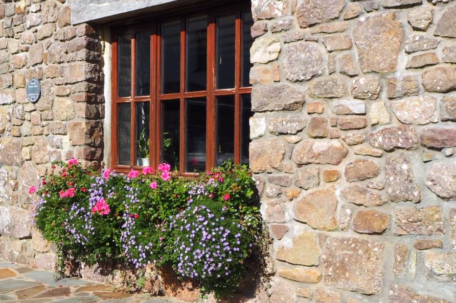 Blooms on the Gower