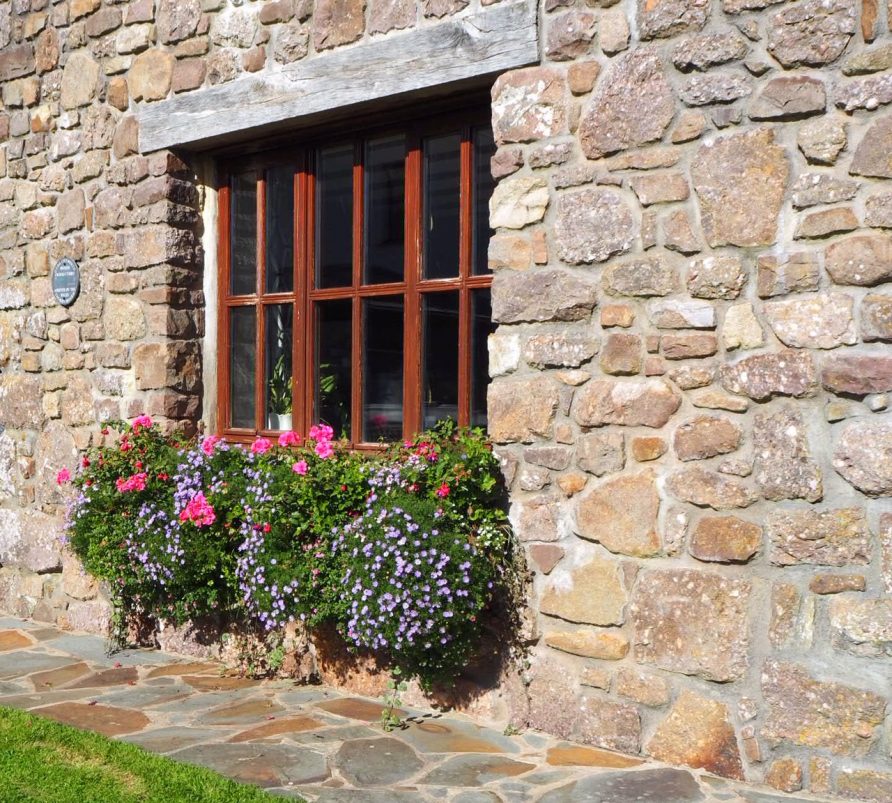 Blooms on the Gower