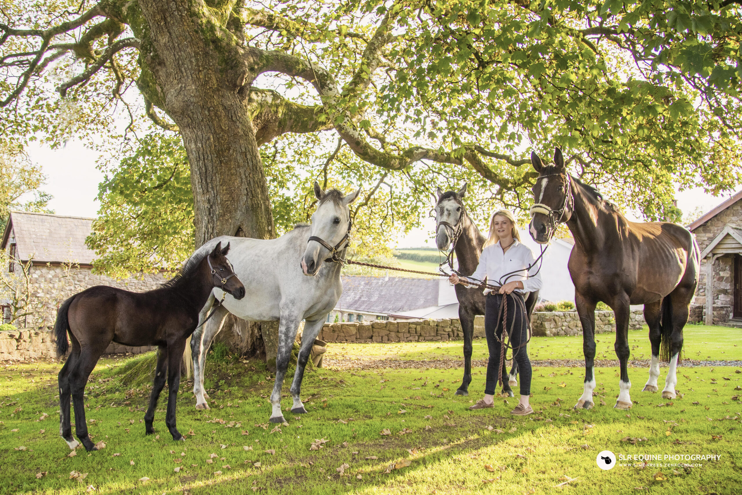 Foals on Tankey Lake Farm
